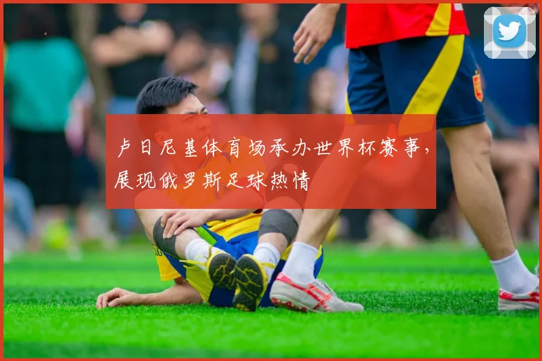卢日尼基体育场承办世界杯赛事，展现俄罗斯足球热情