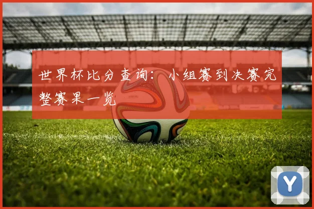 世界杯比分查询:小组赛到决赛完整赛果一览
