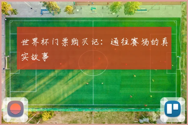 世界杯门票购买记：通往赛场的真实故事