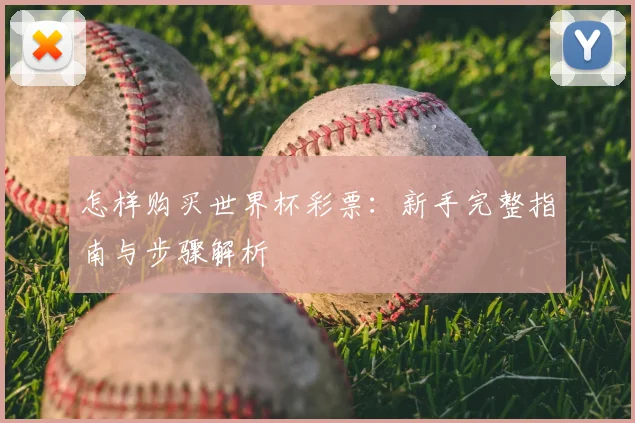 怎样购买世界杯彩票:新手完整指南与步骤解析