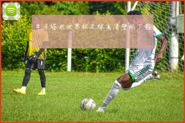 年卡塔尔世界杯足球高清壁纸下载