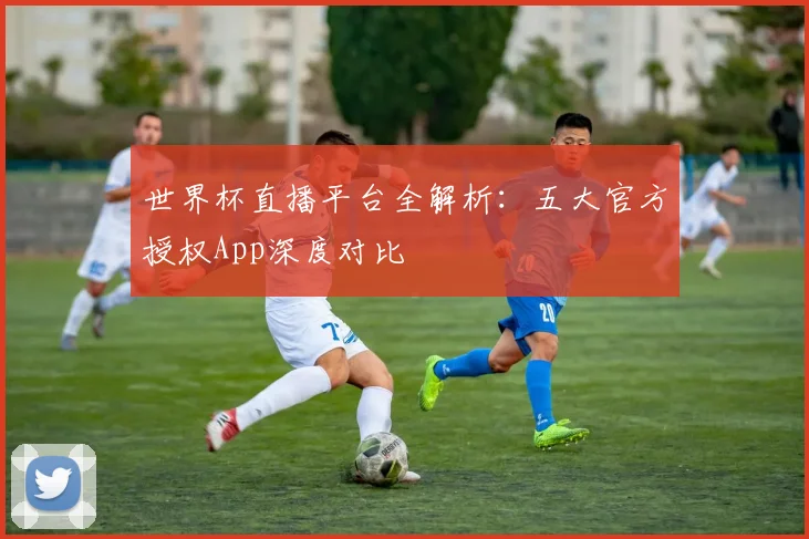 世界杯直播平台全解析：五大官方授权App深度对比